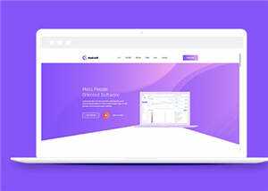 简约软件开发企业网站模板下载 - 天能资源