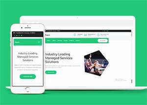 互联网增值服务公司网站模板下载 - 天能资源