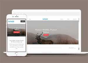 保护野生动物响应式网站模板下载 - 天能资源