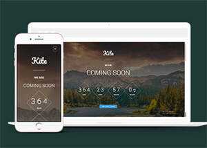 宽屏在线留言板倒计时网站模板 - 天能资源