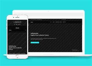 旅游景点展示类网站模板下载 - 天能资源