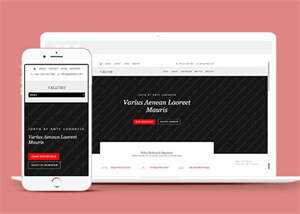 唯美休闲小清新网站模板下载 - 天能资源