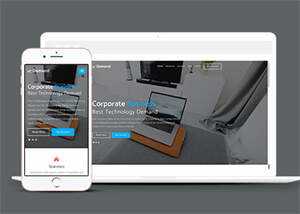 手机应用开发公司网站模板下载 - 天能资源