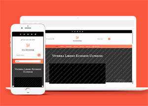 响应式橘红色企业公司网站模板 - 天能资源