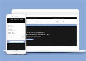 简洁浅蓝色企业CSS3网站模板 - 天能资源