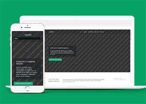 响应式野外游泳爱好者网站模板 - 天能资源