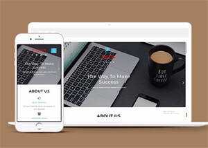 响应式国际金融理财类网站模板 - 天能资源