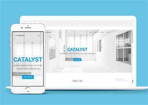 简洁白色VPS销售网站模板下载 - 天能资源