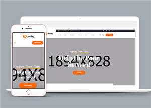 简洁慈善公益捐赠网站模板源码下载 - 天能资源