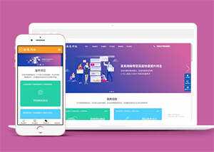 网站建设SEO优化类前端模板下载 - 天能资源