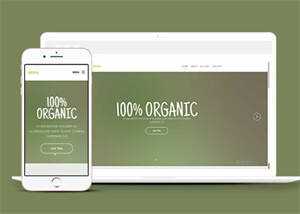 简洁绿色主题公司网站模板下载 - 天能资源