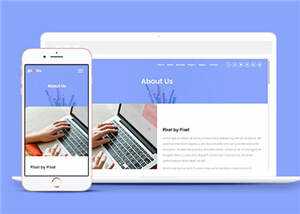 简洁数字产品企业网站模板源码下载 - 天能资源
