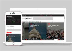 宽屏国际时政要闻网站模板下载 - 天能资源