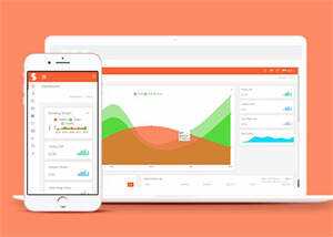 简洁后台管理员系统网站模板 - 天能资源