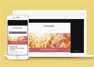 宽屏粉色个人博客主页网站模板 - 天能资源