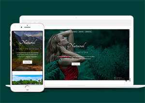 宽屏旅游温泉响应式网站模板 - 天能资源