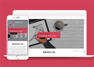 网站运营数据指标网站模板下载 - 天能资源