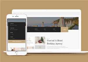 宽屏豪华酒店管理服务html模板下载 - 天能资源