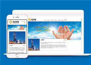 大气财富管理企业网站模板源码下载 - 天能资源