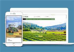 宽屏农业生产项目html模板下载 - 天能资源
