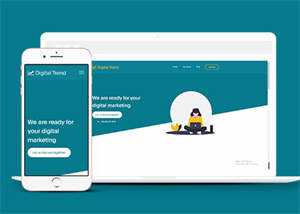 宽屏保险公司客户服务网站模板 - 天能资源