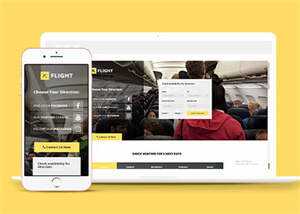 宽屏航空公司机票预订官网模板 - 天能资源