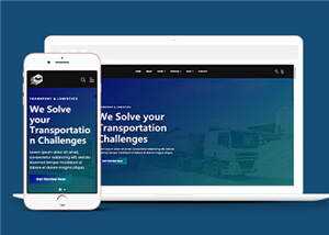 简约物流公司源码模板下载 - 天能资源