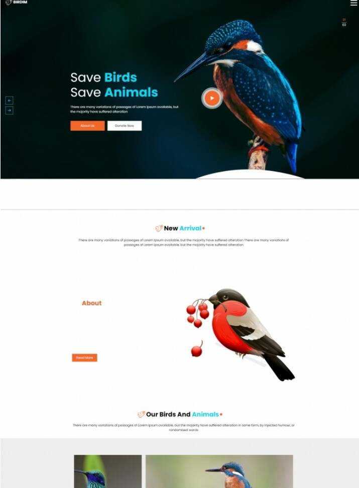 拯救鸟类拯救动物HTML5网站模板 - 天能资源