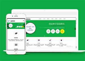 简洁品牌策划类网站前端模板下载 - 天能资源