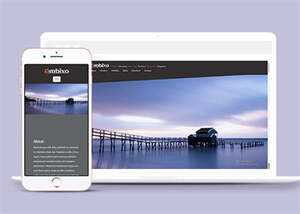 简洁背景视差装修案例展示模板 - 天能资源