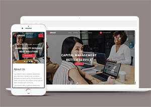 证券咨询服务机构网站模板下载 - 天能资源