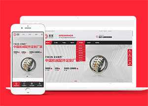 宽屏手柄机械配件网站前端模板 - 天能资源