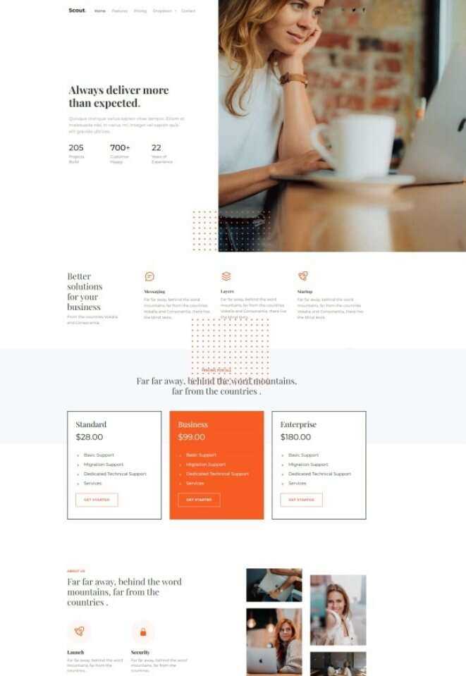 Bootstrap商务咨询服务公司网站HTML模板 - 天能资源