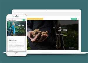 足球运动直播网站响应式模板 - 天能资源