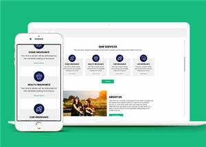 保险公司官方HTML网站模板下载 - 天能资源