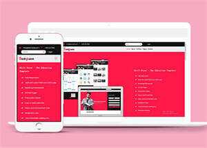 宽屏国外别墅类销售网站模板 - 天能资源