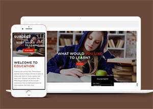 简洁图书馆在线书城网站模板 - 天能资源