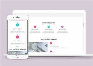 产品营销信息展示HTML网页模板下载 - 天能资源