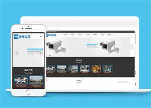 响应式数字防盗类网站前端模板 - 天能资源