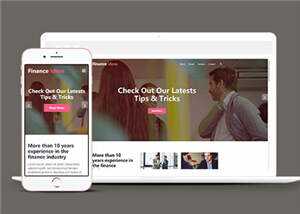 宽屏金融服务公司html模板下载 - 天能资源