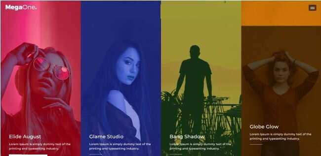 演唱会嘉宾宣传介绍网页模板 - 天能资源