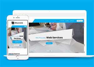 移动应用开发公司网站模板下载 - 天能资源