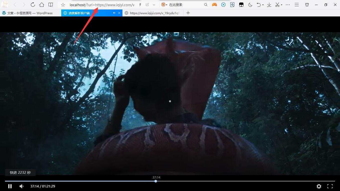 迪奥VIP视频解析客户端PHP源码 - 天能资源