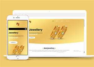 纯金黄金首饰企业网站模板下载 - 天能资源