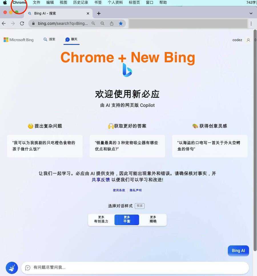 微软New Bing完美聊天机器人源码，支持ChatGPT提示词 国内可用，基本兼容微软 Bing AI 所有功能 - 天能资源