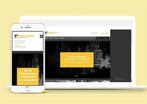 企业大客户HTML5网站模板下载 - 天能资源