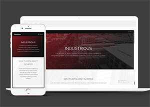 响应式前端框架skin网站模板 - 天能资源