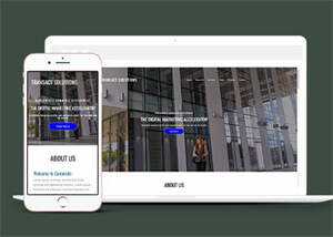 简洁数字营销类公司网站模板 - 天能资源