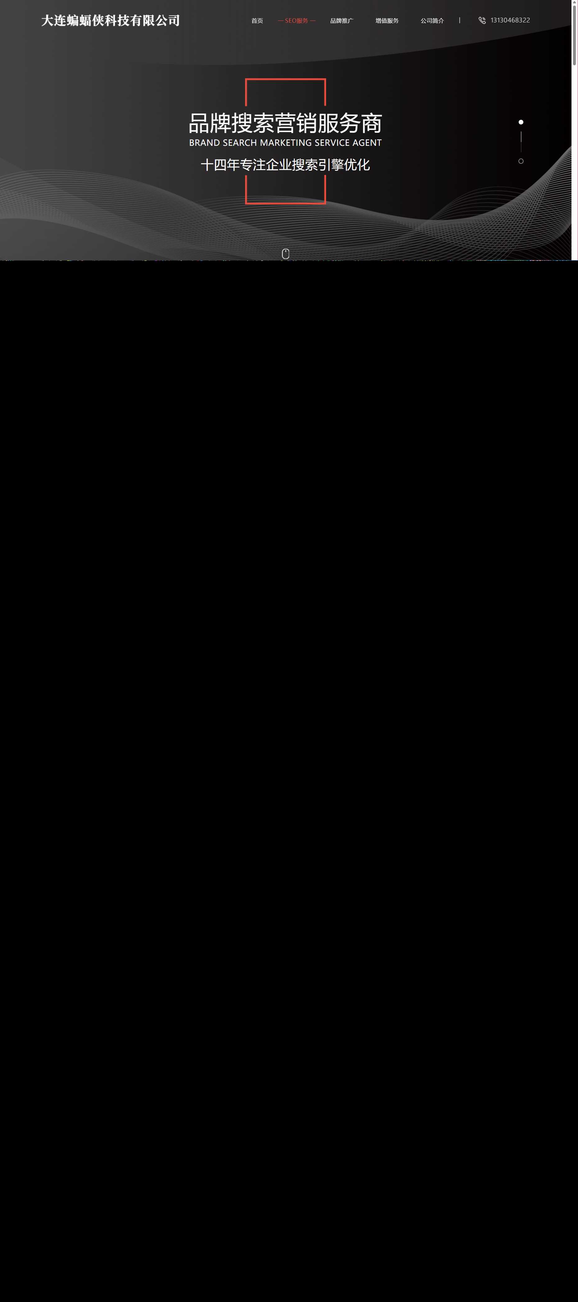 分享一套简洁大气且好看的排名seo官网源码 - 天能资源