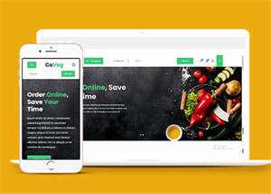 简洁生活食品电商类网站模板下载 - 天能资源